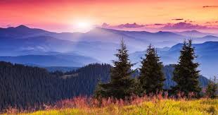 Sunrise for a new day
