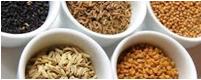 seeds.JPG